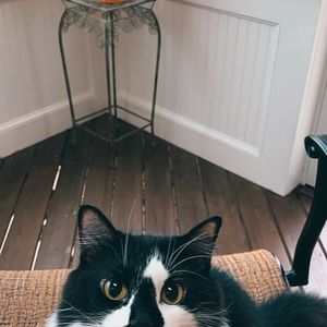 Meet your Posher, Gabriella